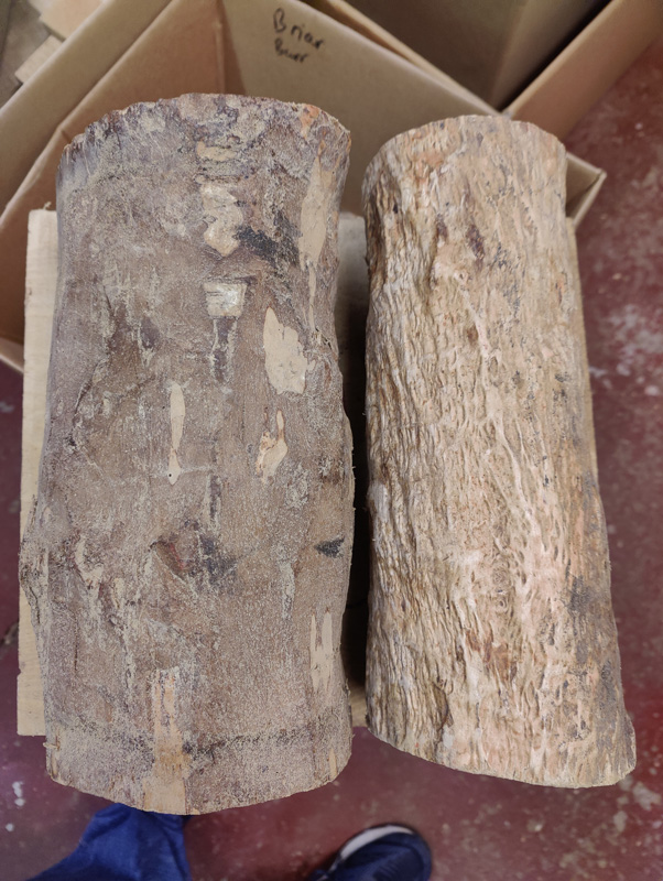SOLD - Masur birch logs 5 dia x 12 & 4 dia x 12 £50